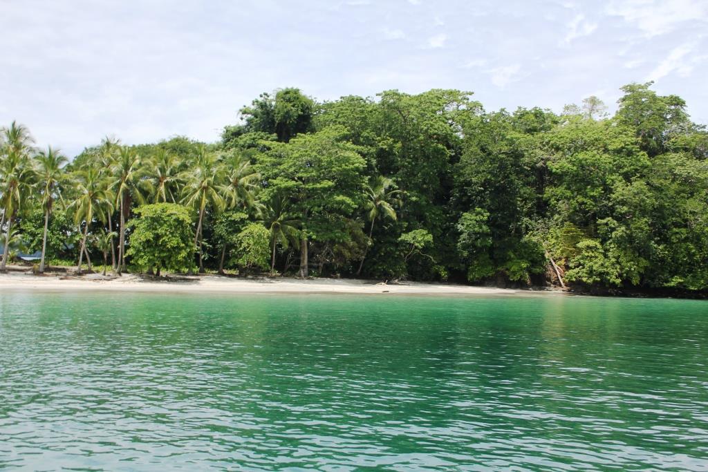 Sailing the Islands in the Golfo de Chiriqui - THE PANAMA PERSPECTIVE