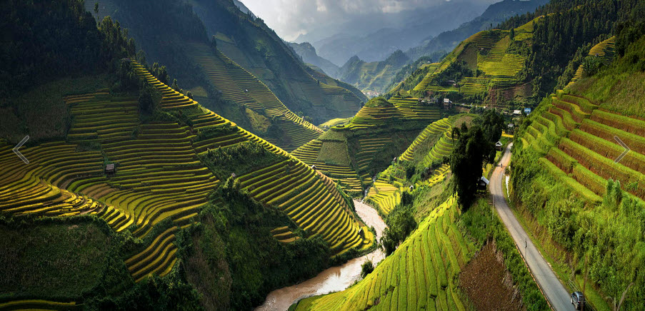 vietnam-rice-field-by-thang-soi