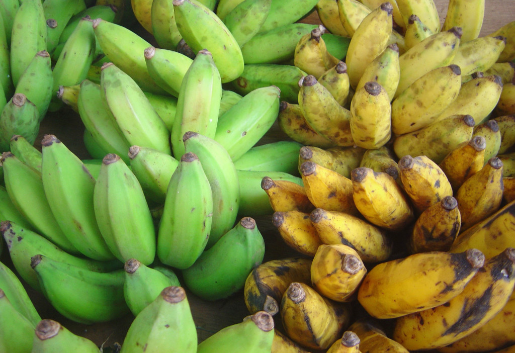 plantain-vs-banana