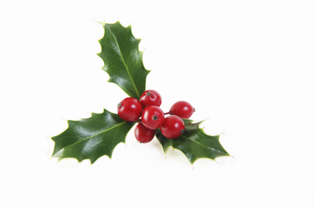 mistletoe-christmas1