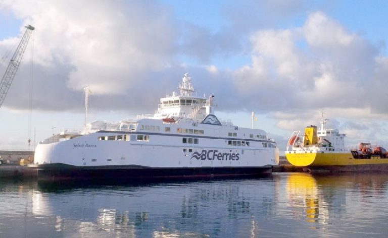 salish-raven-canary-islands-jpg