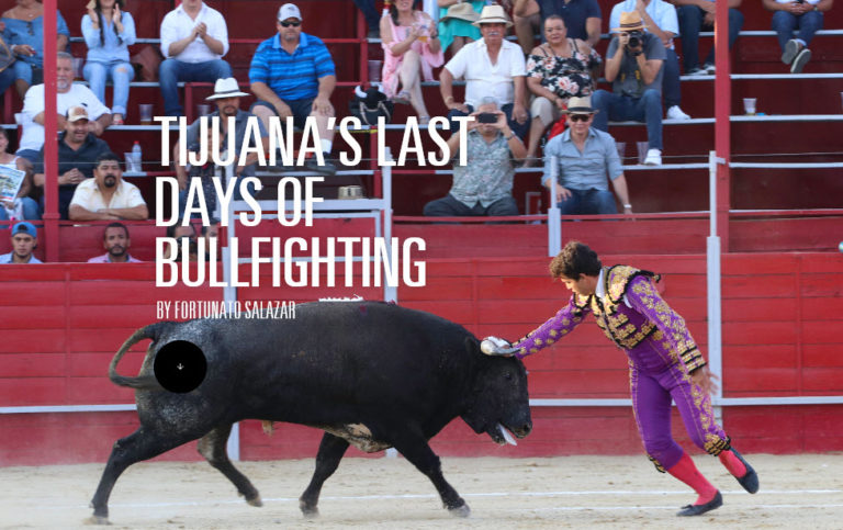 bullfight