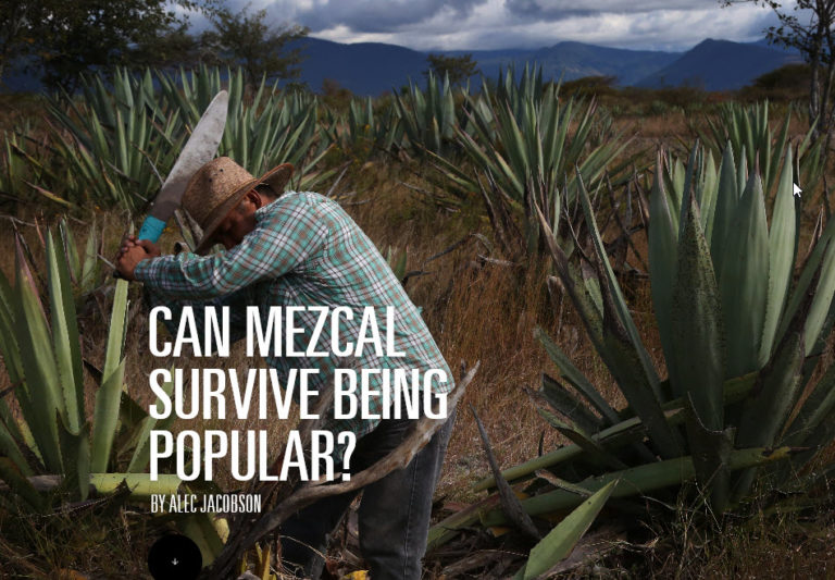mezcal