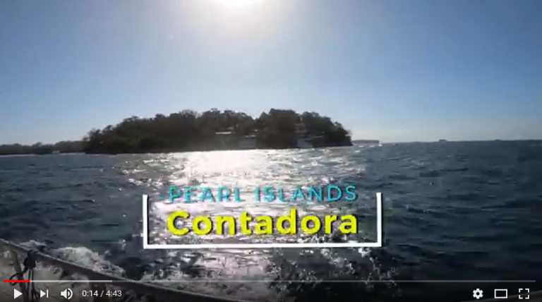 contadora