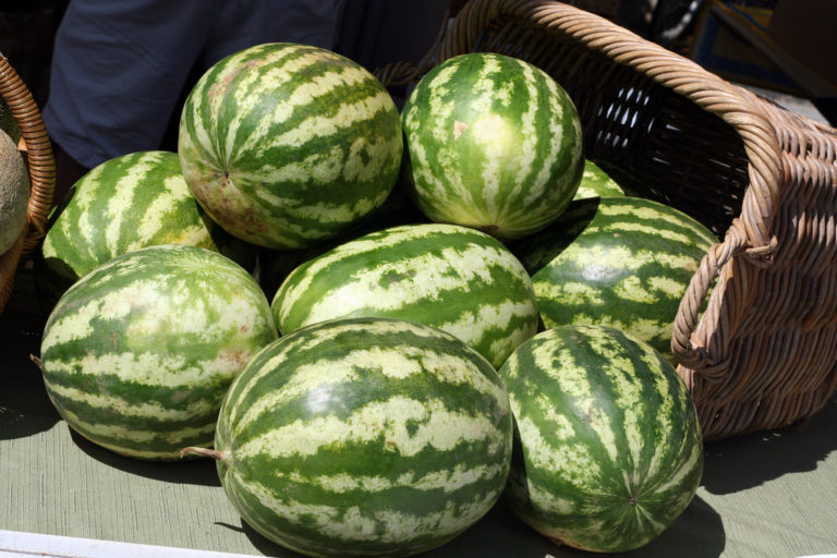 watermellons