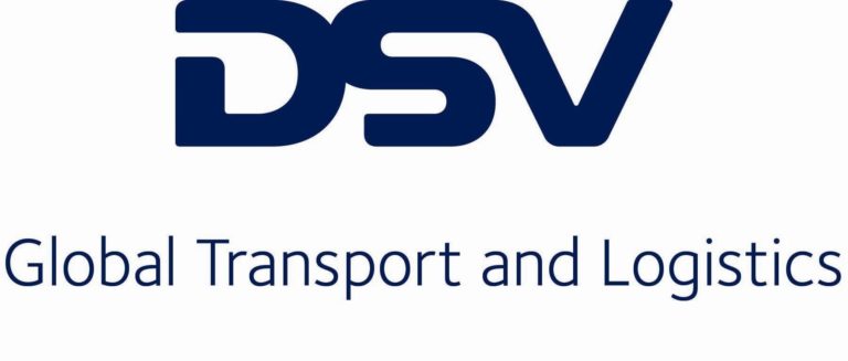 dsv_logo_jpeg__copy_1799