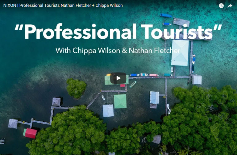 professional tourists