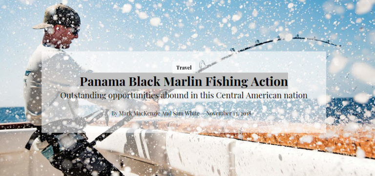 black marlin