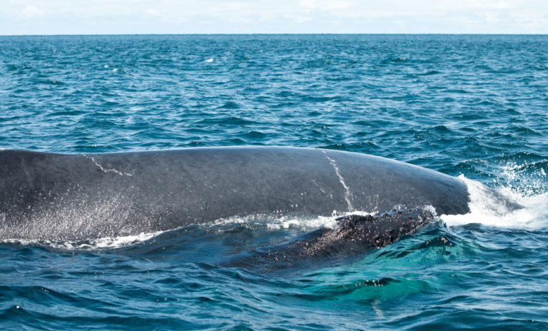 Mom-and-baby_2000pxw_DSC0254-1
