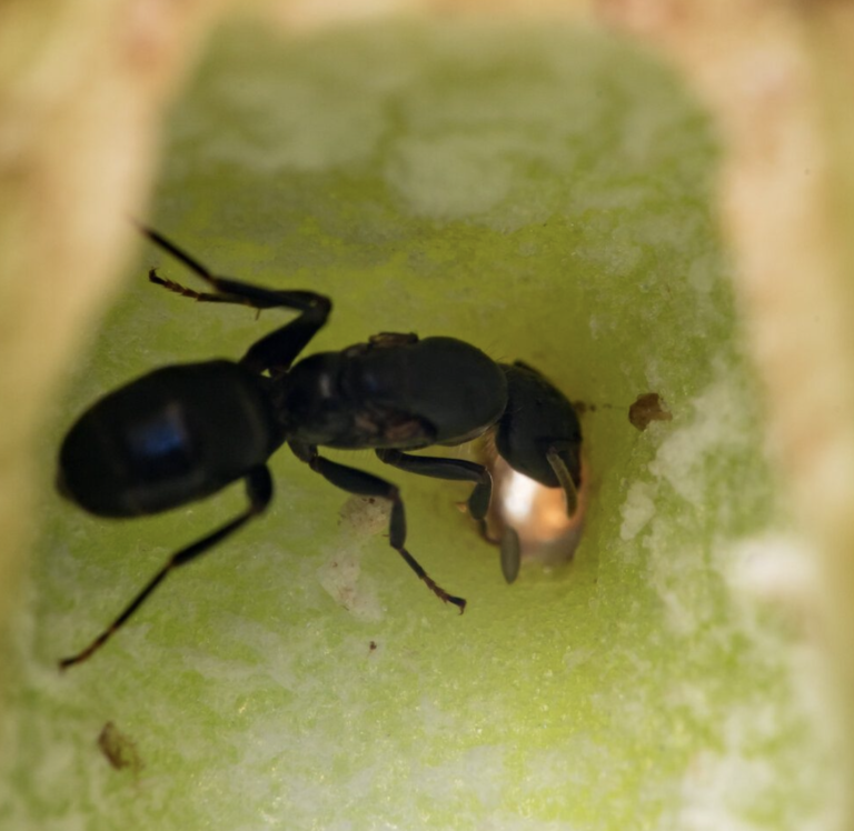 Screen Shot 2022-01-28 at 12.23.07 PM