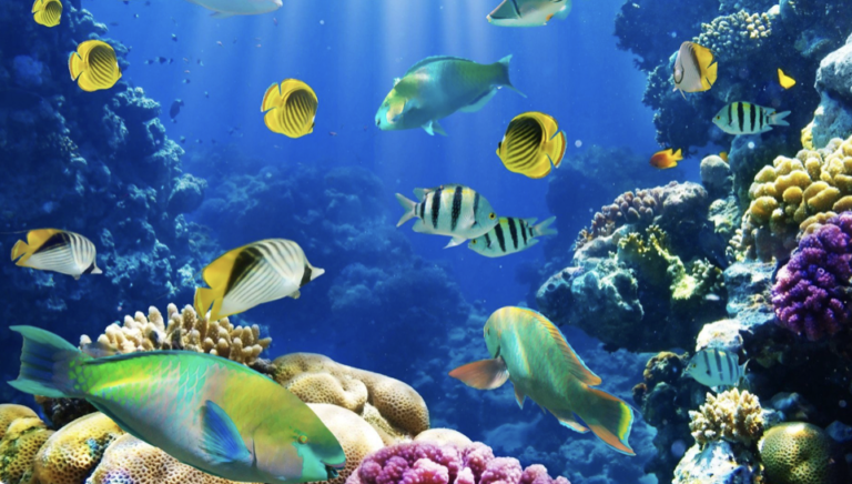 Screen Shot 2022-03-18 at 5.40.33 PM