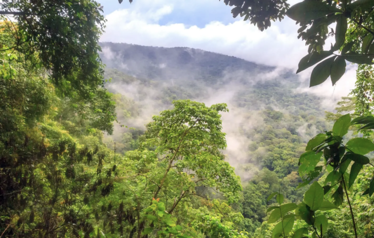 Screen Shot 2022-04-22 at 11.45.07 PM