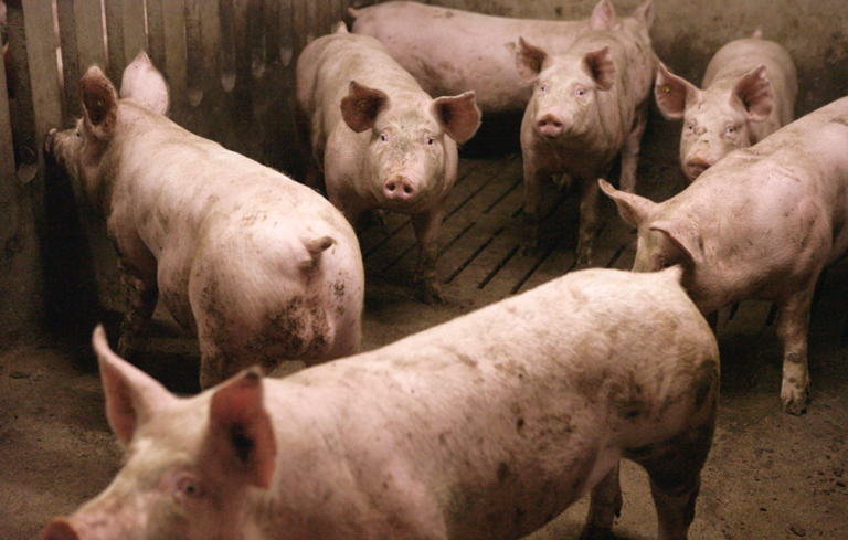 Screen Shot 2022-04-22 at 11.51.49 PM