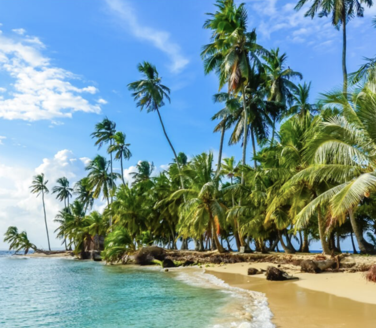 Screen Shot 2022-05-07 at 3.51.24 AM