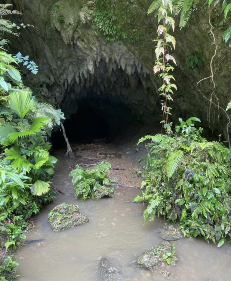 Screen Shot 2022-05-20 at 9.25.09 PM