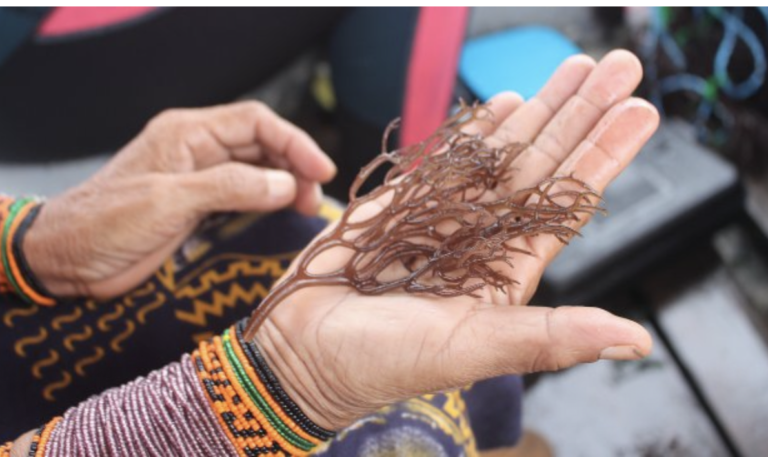 Screen Shot 2022-07-08 at 6.56.37 PM