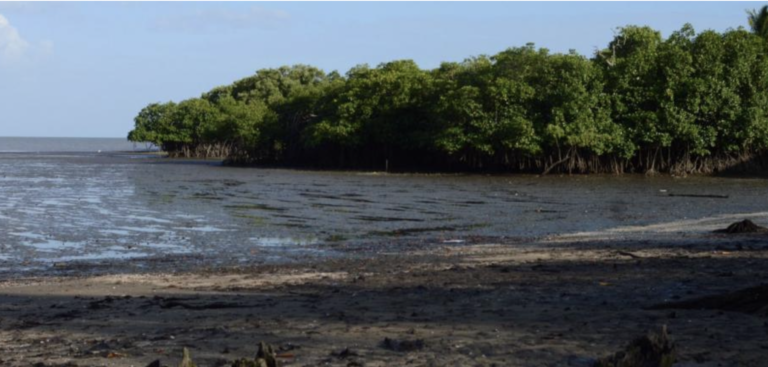 Screen Shot 2022-07-30 at 2.21.10 AM