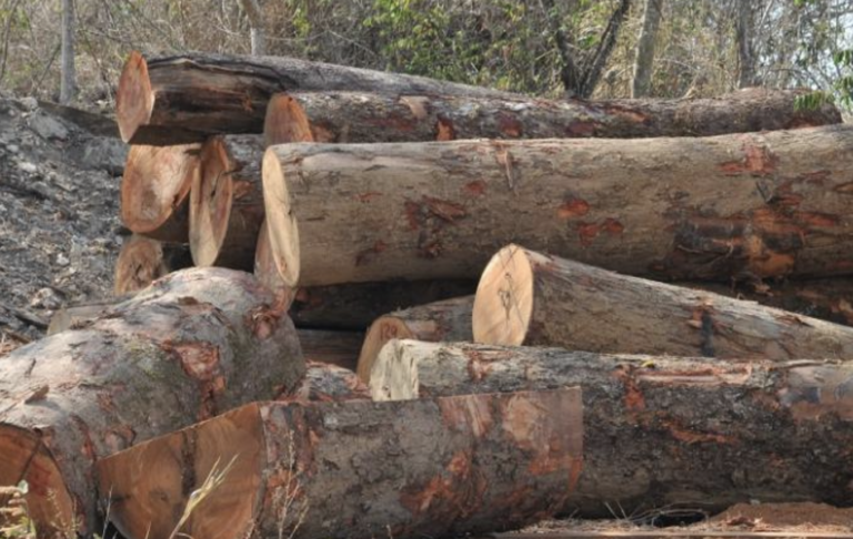 Screen Shot 2022-08-06 at 12.28.30 AM