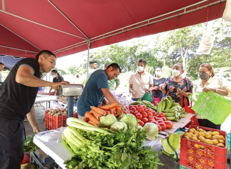 Screen Shot 2022-09-17 at 12.56.24 AM