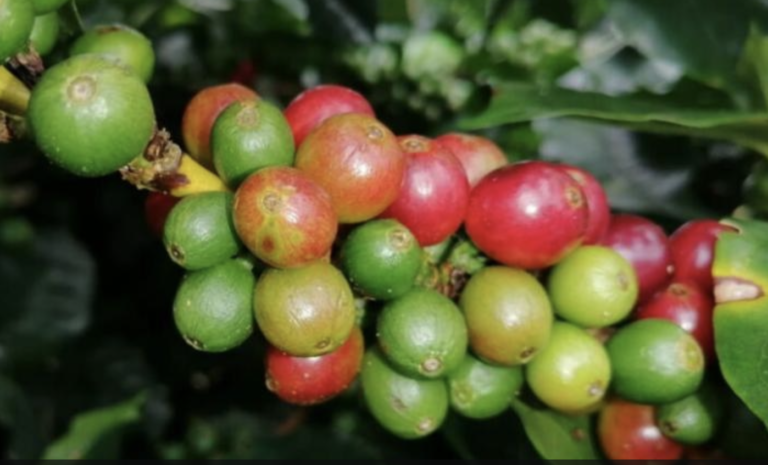 Screen Shot 2022-09-30 at 3.08.05 PM