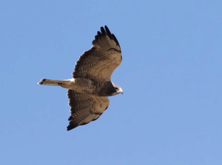 Screen Shot 2022-10-14 at 10.19.49 PM