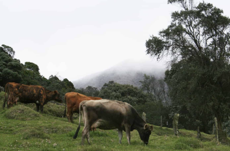 Screen Shot 2022-10-14 at 10.44.09 PM