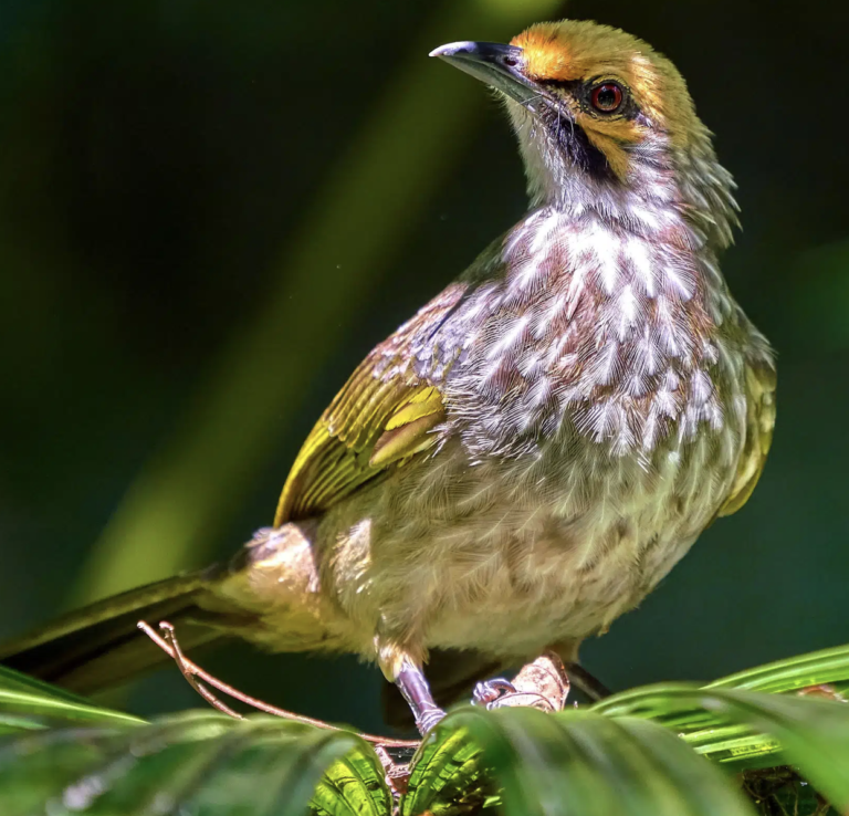 Screenshot 2022-11-18 at 6.58.16 PM