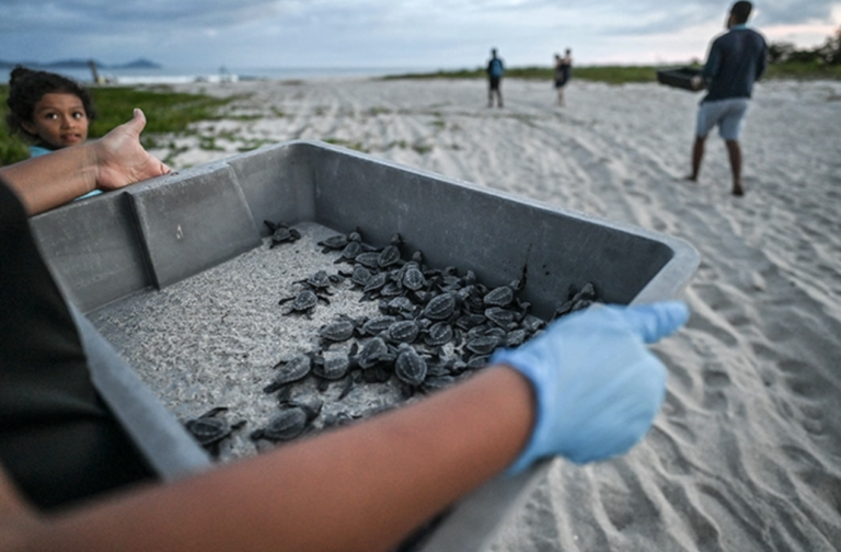 Screenshot 2022-11-18 at 8.28.17 PM