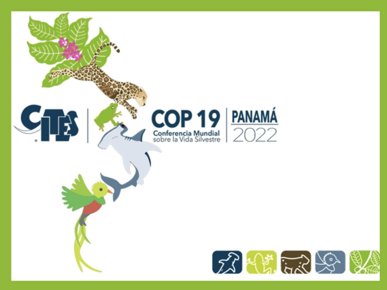 Screenshot 2022-12-02 at 7.56.02 PM