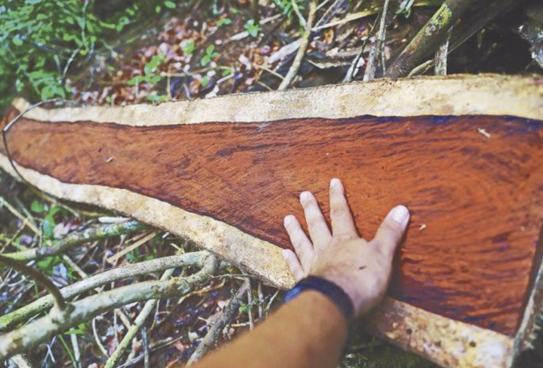 Screenshot 2022-12-09 at 10.04.27 PM