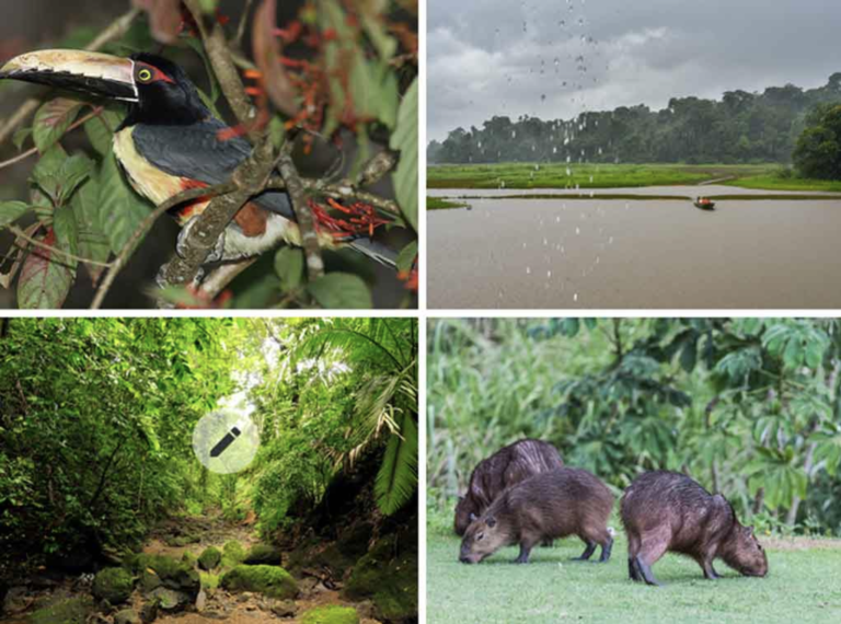 Screenshot 2022-12-16 at 5.03.11 PM