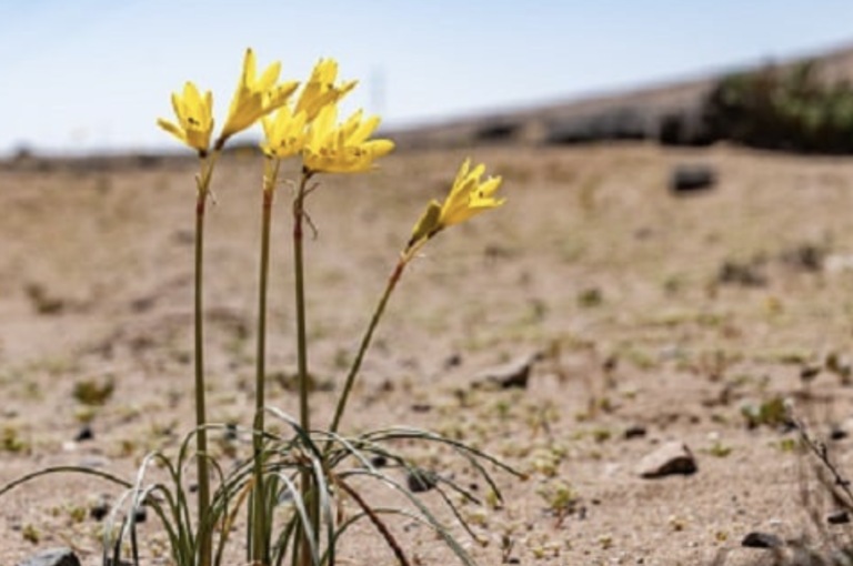 Screenshot 2022-12-30 at 7.58.24 PM