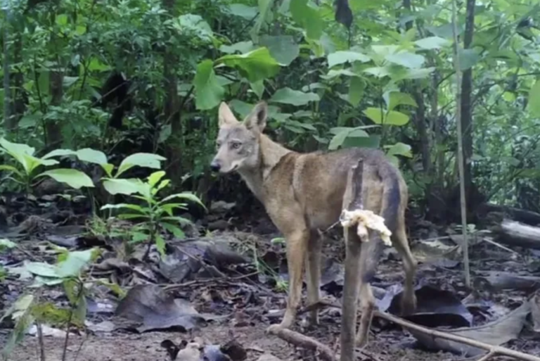 Screenshot 2023-01-06 at 9.27.05 PM