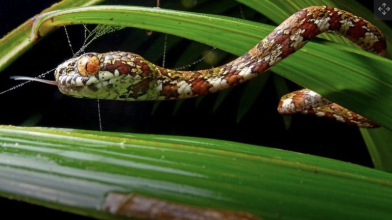 Screenshot 2023-02-10 at 9.08.26 PM