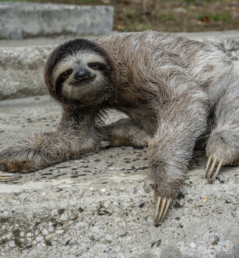 Screenshot 2023-03-31 at 5.42.29 PM