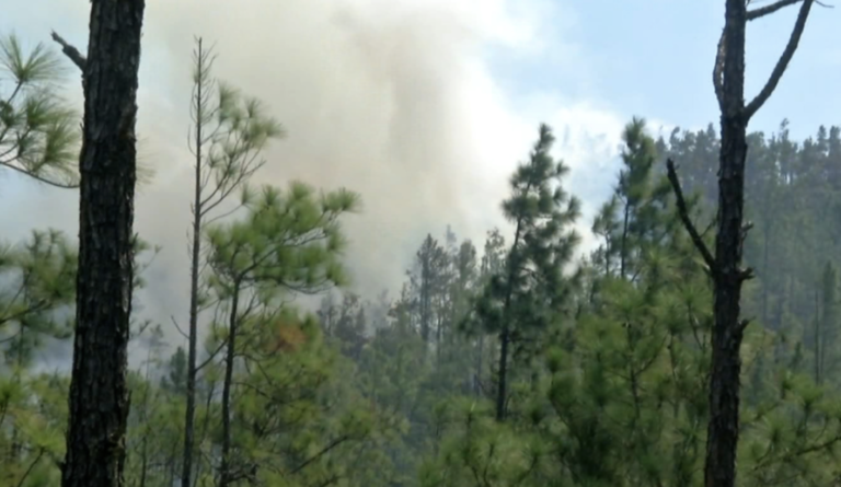 Screenshot 2023-04-07 at 9.18.56 PM