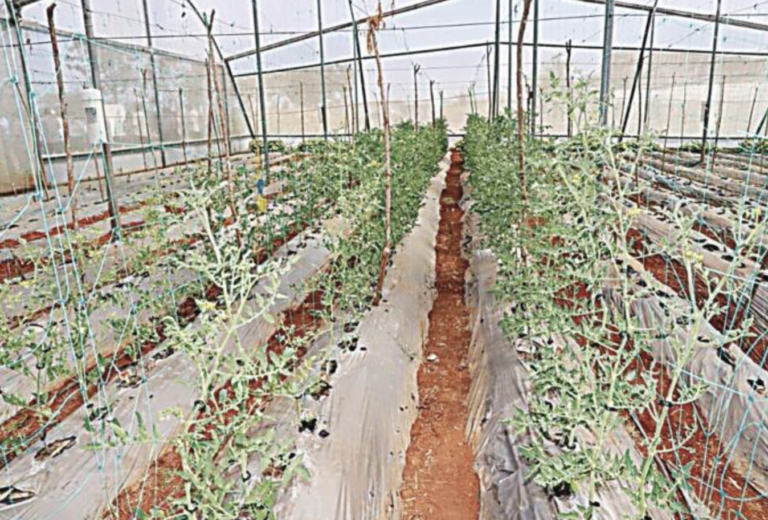 Screenshot 2023-04-14 at 2.08.47 PM