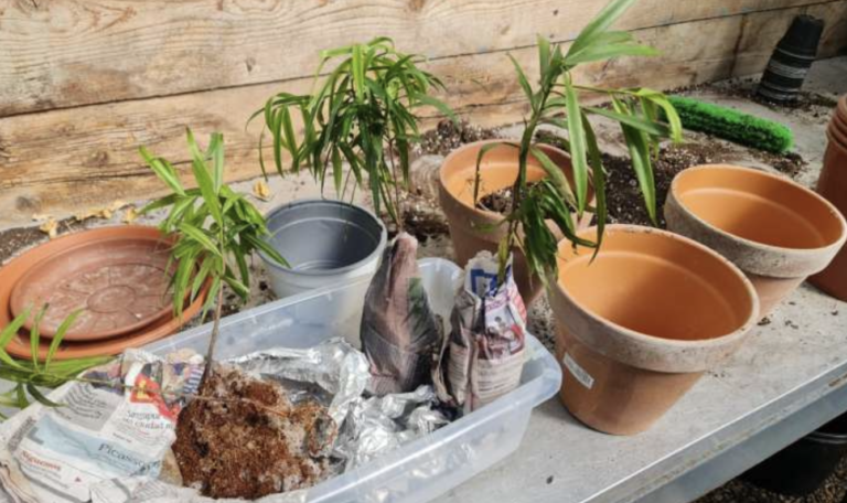 Screenshot-2023-04-28-at-11.26.56-PM