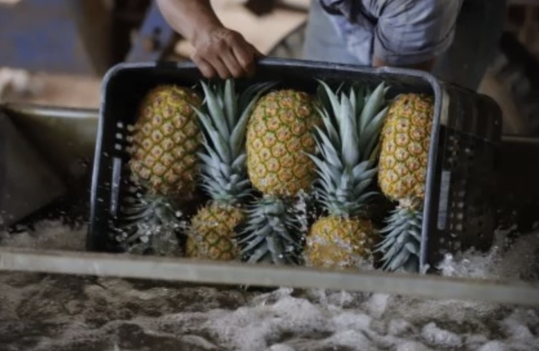 Screenshot-2023-05-12-at-10.19.55-PM