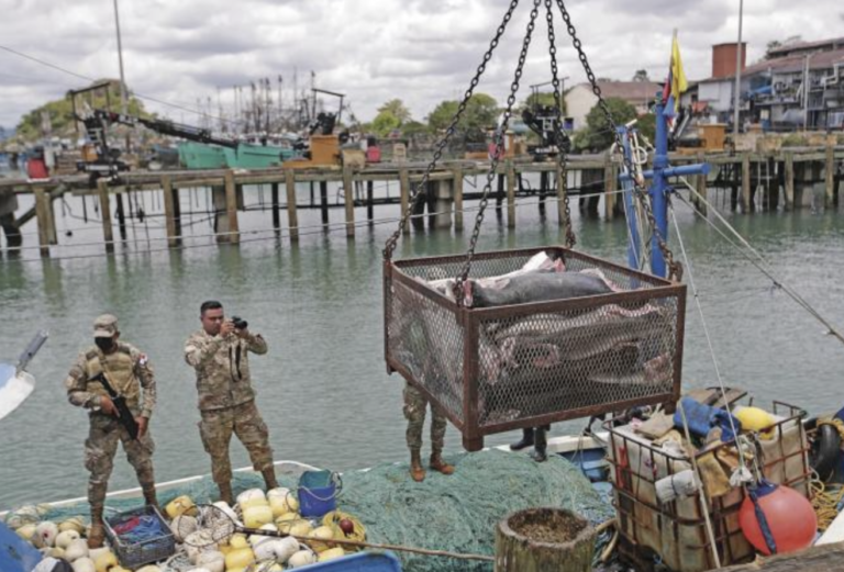 Screenshot-2023-05-12-at-9.51.03-PM