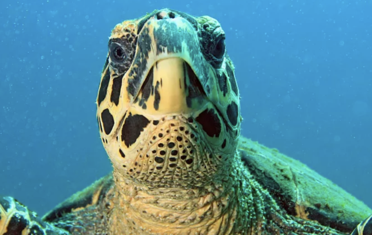 Screenshot-2023-05-26-at-9.20.58-PM