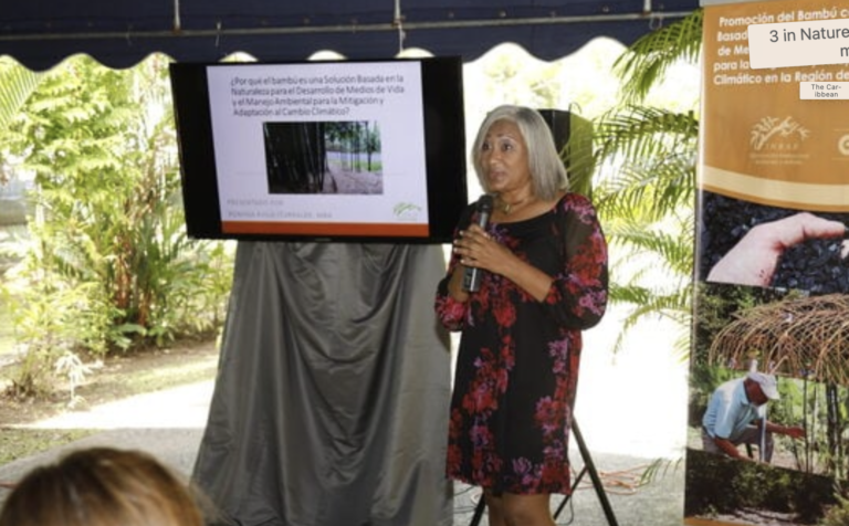 Screenshot-2023-06-09-at-8.58.47-PM