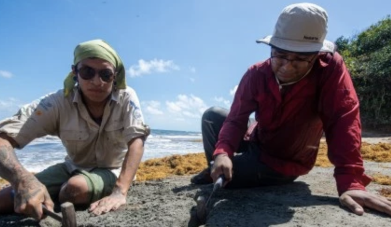 Screenshot-2023-06-23-at-7.31.17-PM