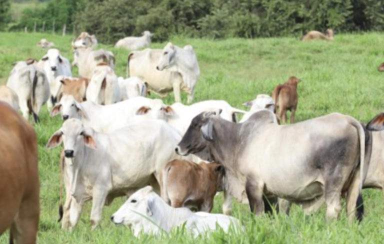 Screenshot-2023-07-21-at-10.14.35-PM