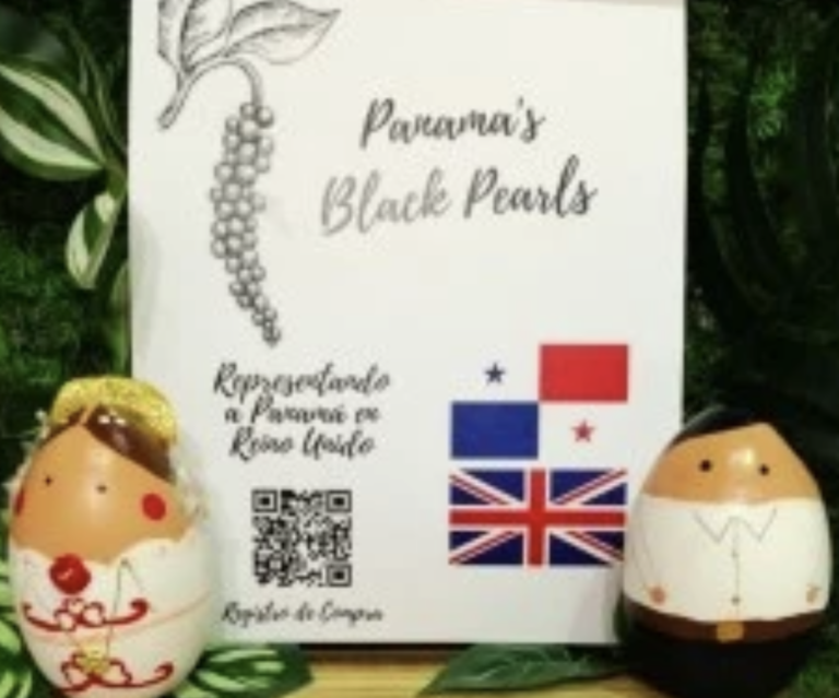 Screenshot-2023-08-11-at-4.45.20-PM