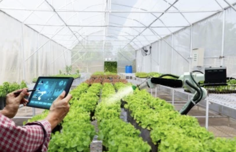 Screenshot-2023-08-11-at-4.51.37-PM