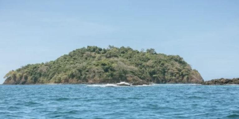 Screenshot-2023-08-11-at-5.02.01-PM