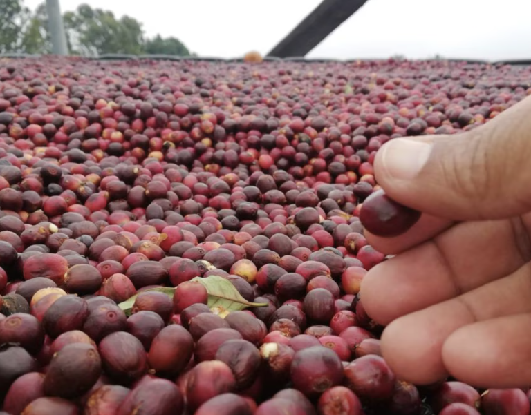 Screenshot-2023-09-01-at-10.56.36-PM