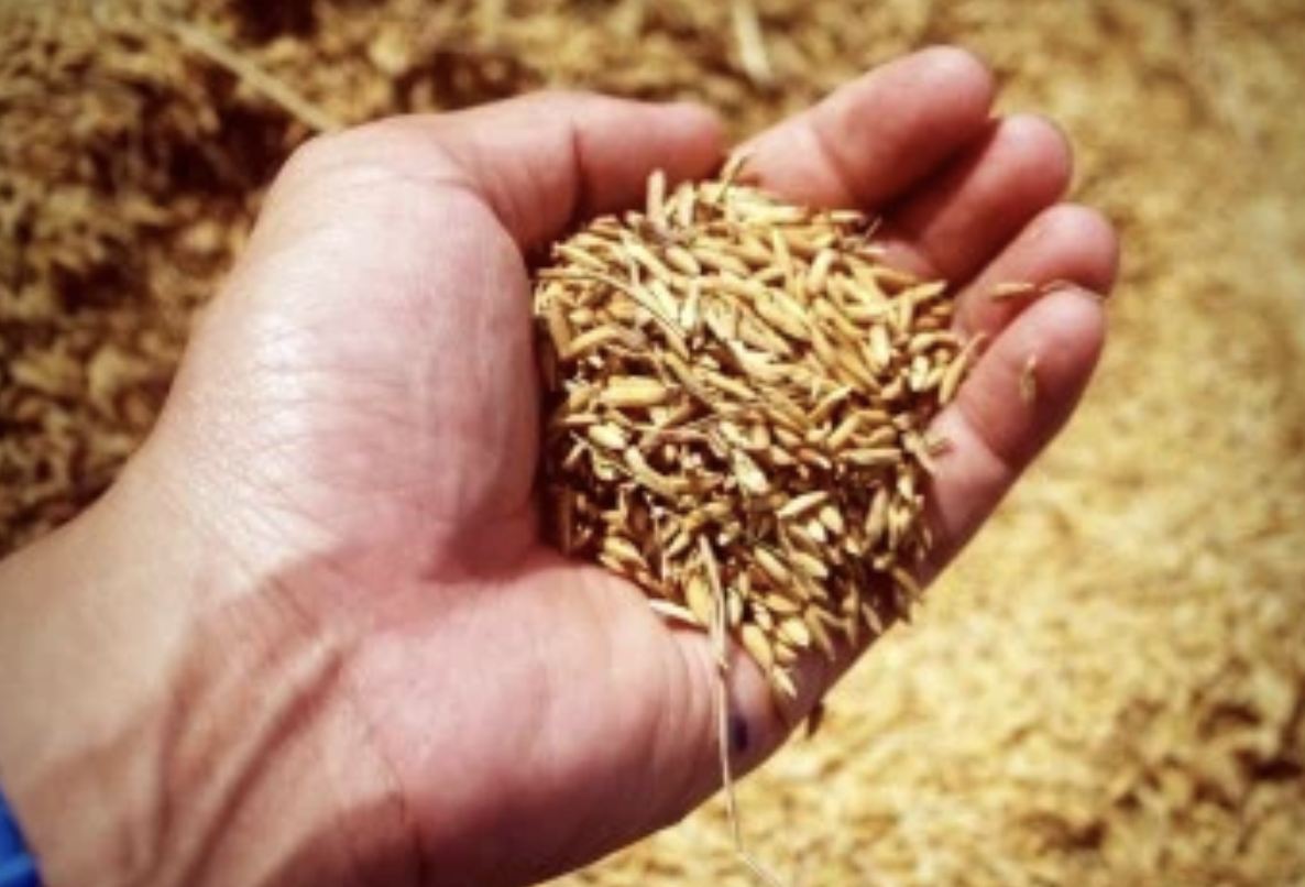 Screenshot-2023-09-22-at-11.02.51-PM