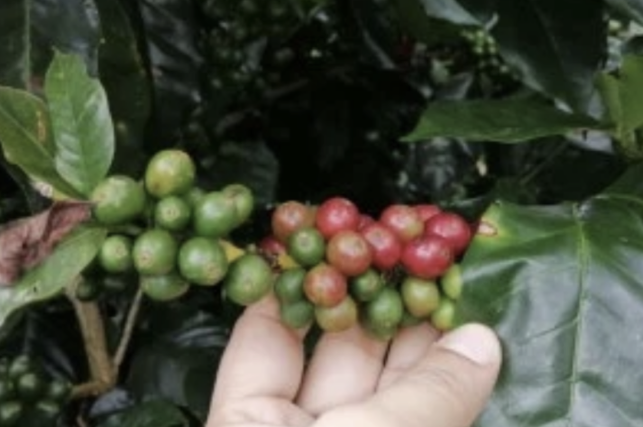 Screenshot-2023-09-30-at-12.21.57-AM